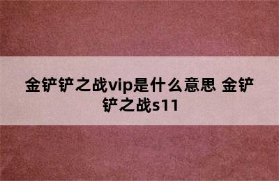 金铲铲之战vip是什么意思 金铲铲之战s11